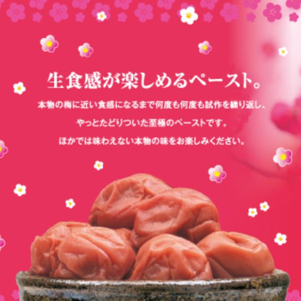 Ribon Caramelos de Ciruela Nama Ume Ame 90g - Image 2